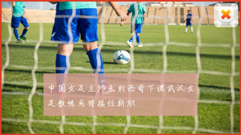 中国女足主帅米利西奇下课武汉女足教练或将接任新职